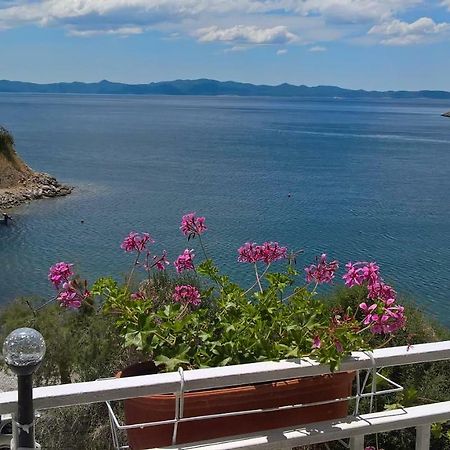 Apartmani Kunjasic Trstenik  Exterior foto