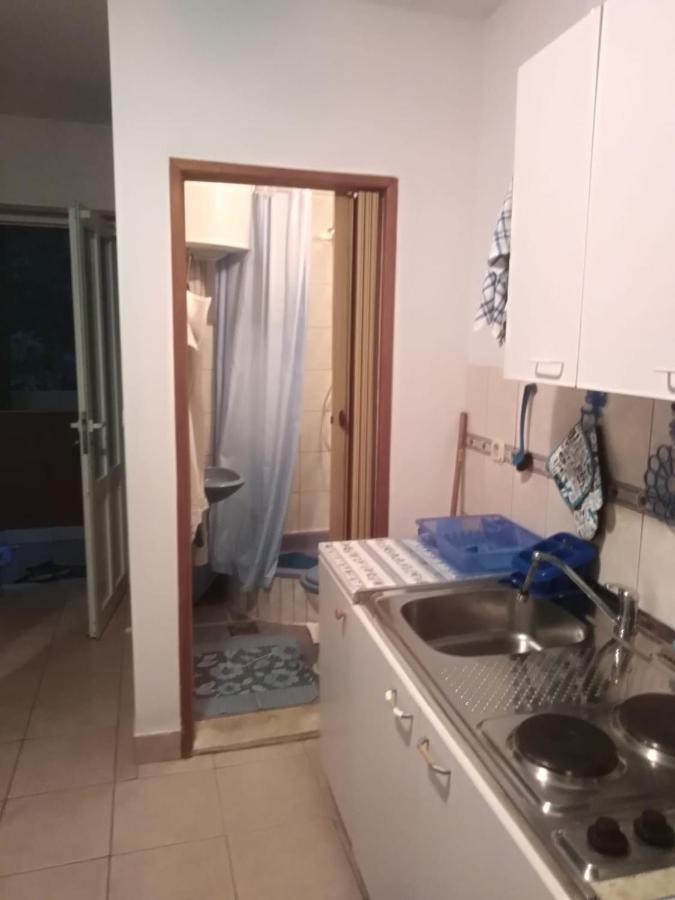 Apartmani Kunjasic Trstenik  Exterior foto