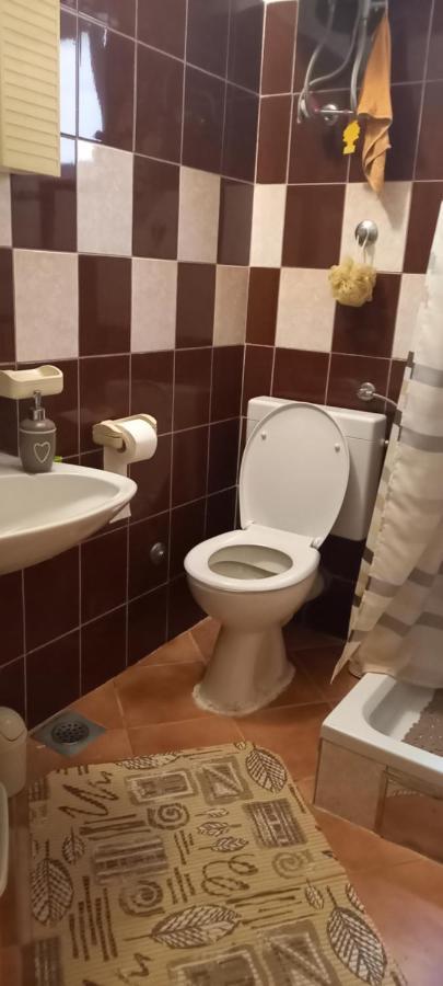 Apartmani Kunjasic Trstenik  Exterior foto