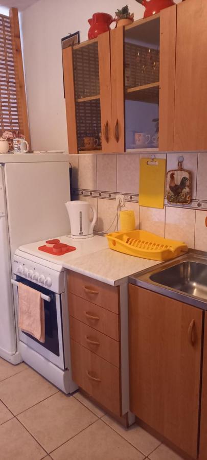 Apartmani Kunjasic Trstenik  Exterior foto