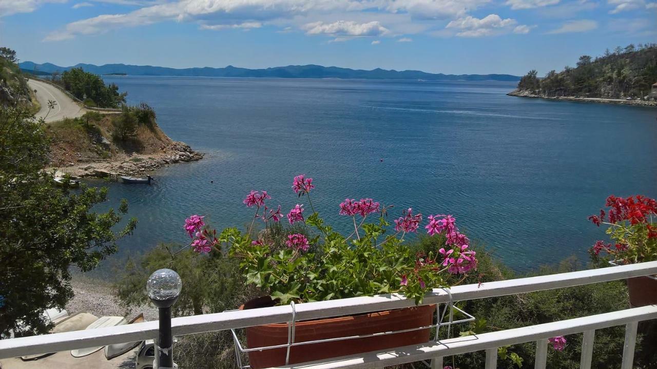 Apartmani Kunjasic Trstenik  Exterior foto